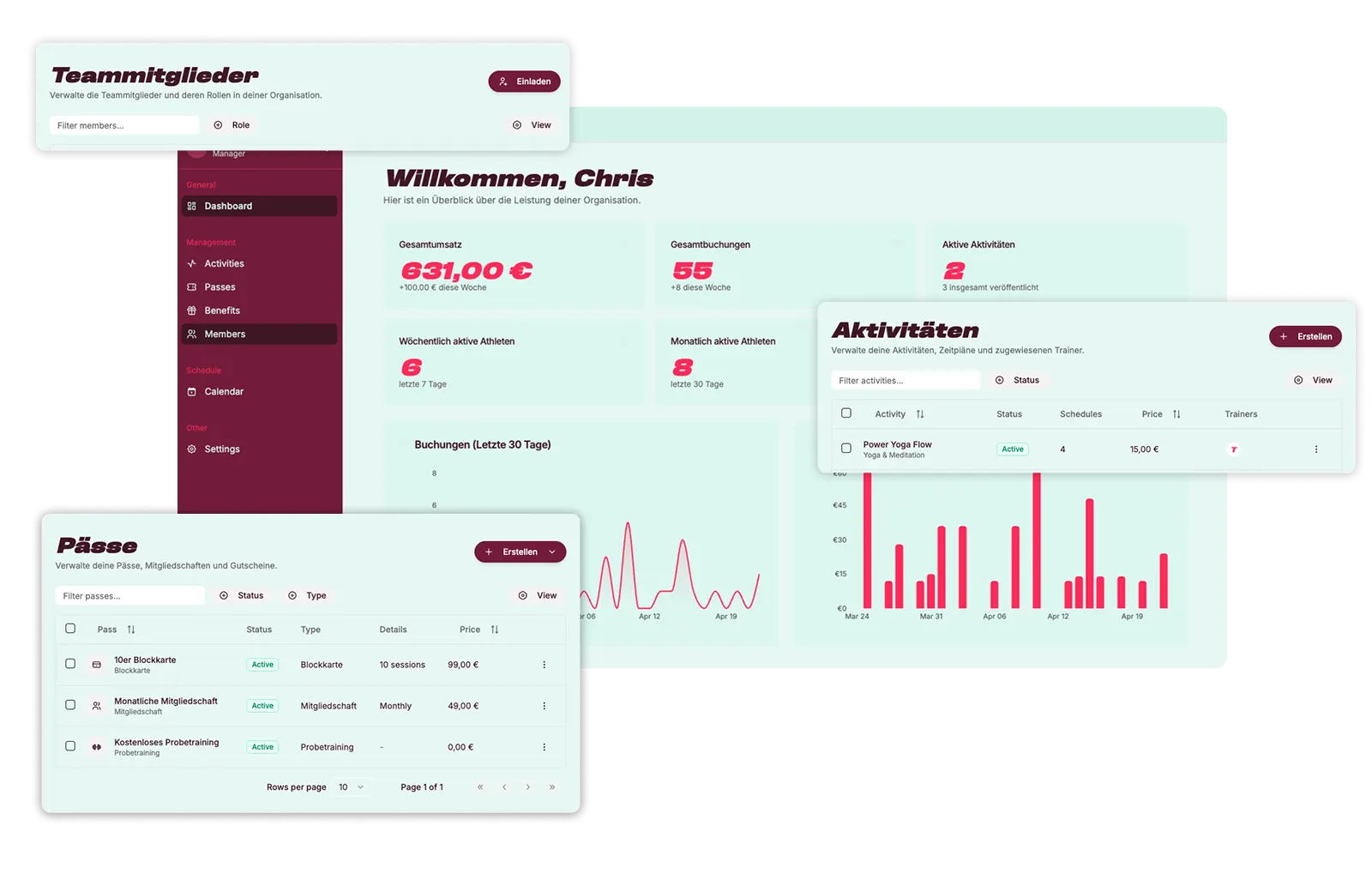 fyddr Admin-Oberfläche für Sport-Organisationen mit Dashboard, Aktivitäten, Pässen und Teammitgliedern
